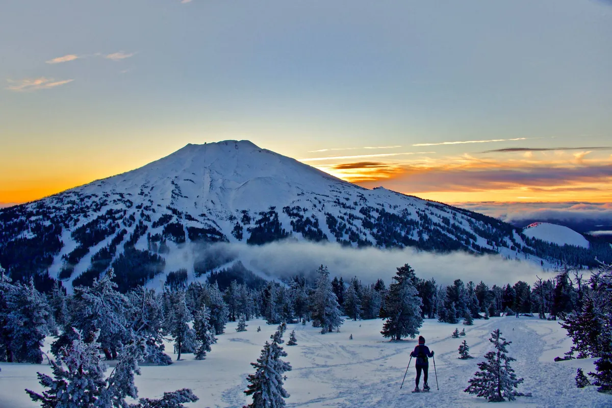 A striking view of a snow-covered mountain with a skier in motion, surrounded by dense trees. The scene is serene yet full of energy, capturing the excitement of winter sports in a beautiful natural setting.